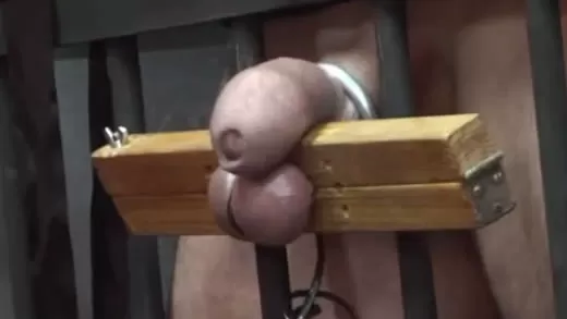 Imagen del video Tortura de polla con una máquina infernal
